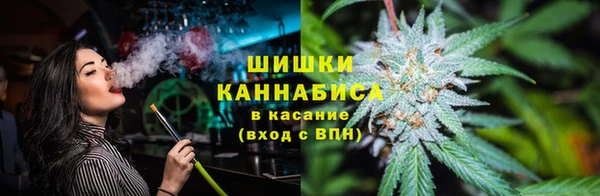гашик Няндома