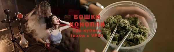 гашик Няндома