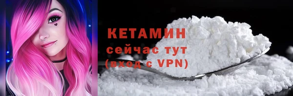 гашик Няндома
