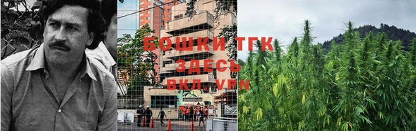 гашик Няндома