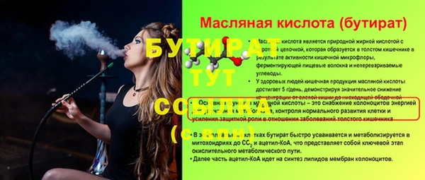 гашик Няндома