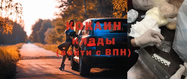гашик Няндома