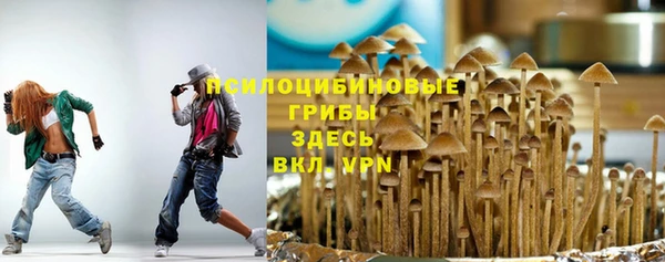 мяу мяу мука Нягань