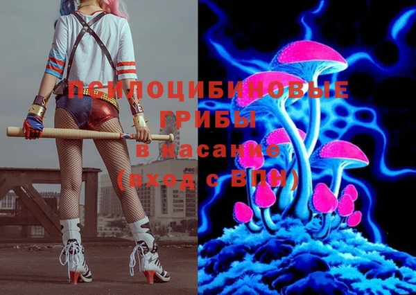 гашик Няндома