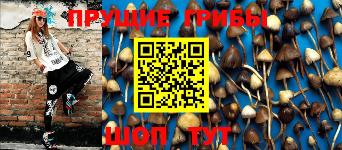 Псилоцибиновые грибы MAGIC MUSHROOMS  Вход с VPN  Кинешма  Галлюциногенные грибы прущие грибы 