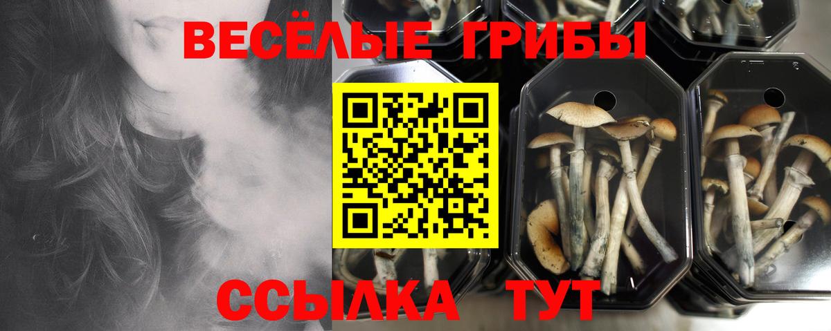 Псилоцибиновые грибы Magic Shrooms Кинешма
