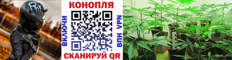 наркотики  Кинешма  Бошки Шишки Bruce Banner 